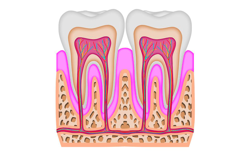 Bild Endodontologie - Die Zahnarztpraxis Dr. Heinemann-Fremerey hat durch das Verfahren der Elektroskopie sehr präzise und schonende Möglichkeiten in der Endodontologie.